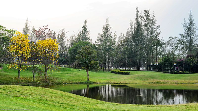 Alpine Golf Resort Chiang Mai