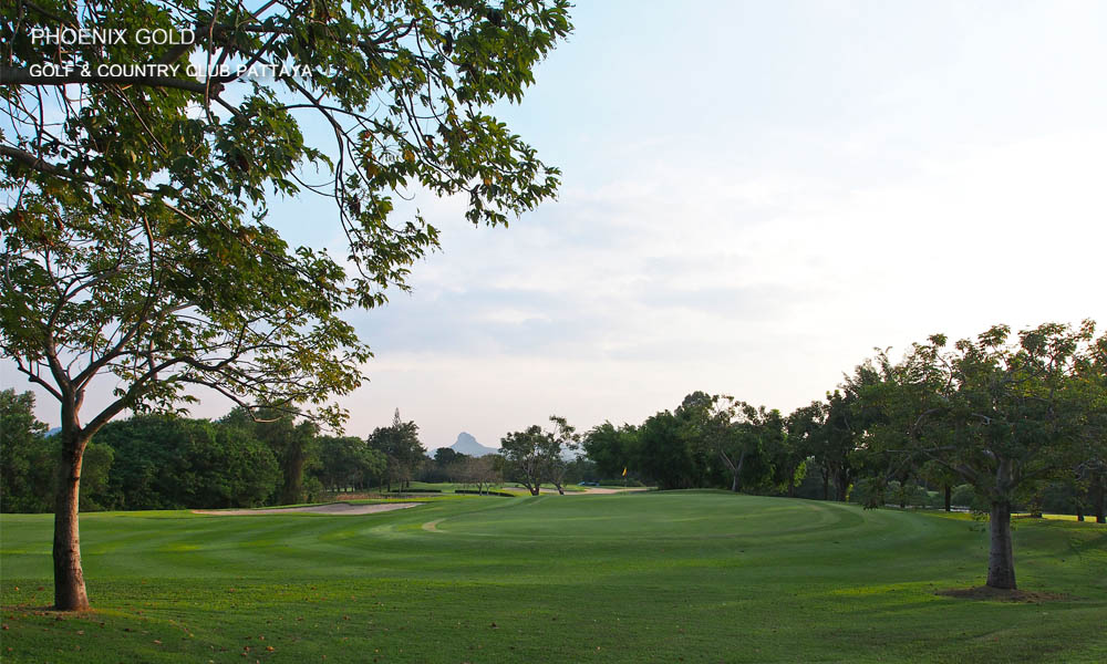 Phoenix Gold Golf , Pattaya